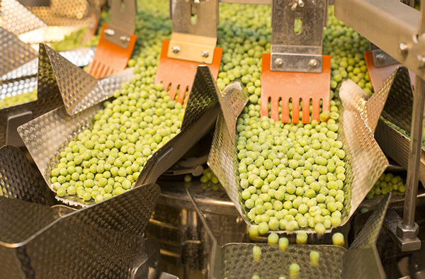 Ishida Scale Weighing Frozen Peas