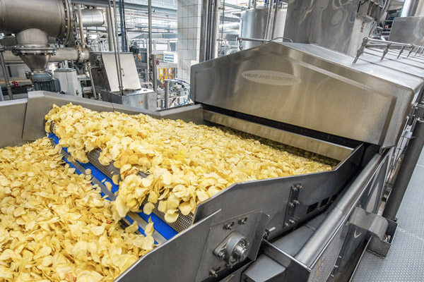 Snack Food Processing