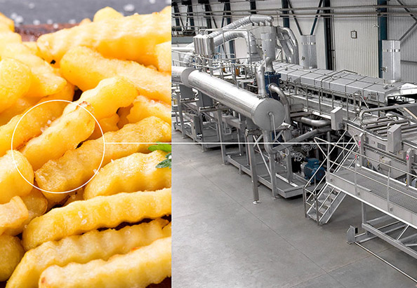 Artículo del blog de producción de papas fritas a la francesa