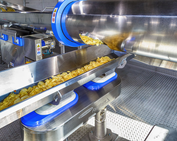 Horizontal Motion Conveyors for Snack Foods