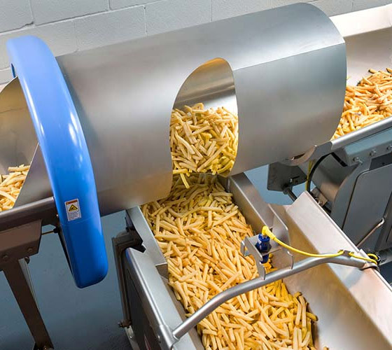 French Fry Conveying