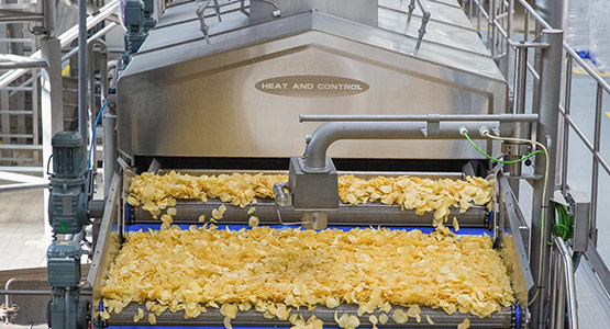 Continuous Corn Chips Frying Machine