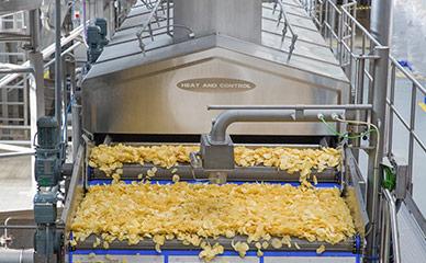 Potato Chips Machines and Potato Chips Plant Manufacturer